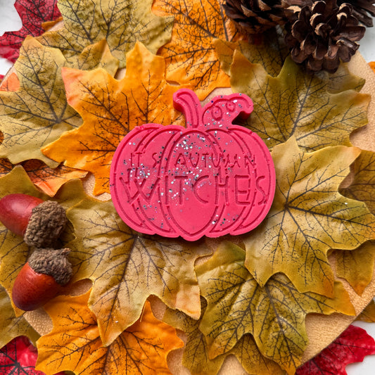 Snow Fairies Autumn Witches